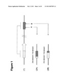 METHODS OF MODIFYING NUCLEIC ACIDS IN HOST CELLS diagram and image