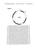 METHODS OF MODIFYING NUCLEIC ACIDS IN HOST CELLS diagram and image