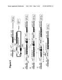 METHODS OF MODIFYING NUCLEIC ACIDS IN HOST CELLS diagram and image