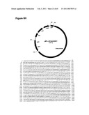 METHODS OF MODIFYING NUCLEIC ACIDS IN HOST CELLS diagram and image