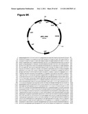 METHODS OF MODIFYING NUCLEIC ACIDS IN HOST CELLS diagram and image