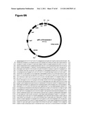 METHODS OF MODIFYING NUCLEIC ACIDS IN HOST CELLS diagram and image