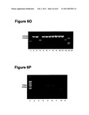 METHODS OF MODIFYING NUCLEIC ACIDS IN HOST CELLS diagram and image