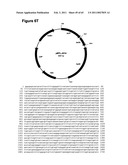 METHODS OF MODIFYING NUCLEIC ACIDS IN HOST CELLS diagram and image