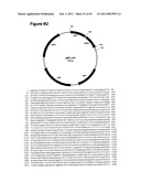 METHODS OF MODIFYING NUCLEIC ACIDS IN HOST CELLS diagram and image