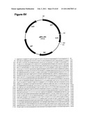 METHODS OF MODIFYING NUCLEIC ACIDS IN HOST CELLS diagram and image