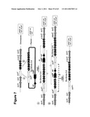 METHODS OF MODIFYING NUCLEIC ACIDS IN HOST CELLS diagram and image