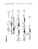 METHODS OF MODIFYING NUCLEIC ACIDS IN HOST CELLS diagram and image