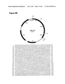 METHODS OF MODIFYING NUCLEIC ACIDS IN HOST CELLS diagram and image