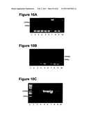 METHODS OF MODIFYING NUCLEIC ACIDS IN HOST CELLS diagram and image