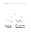 ENHANCED ETHANOL AND BUTANOL PRODUCING MICROORGANISMS AND METHOD FOR PREPARING ETHANOL AND BUTANOL USING THE SAME diagram and image