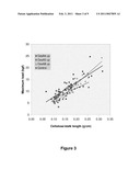 Maize Cellulose Synthases and Uses Thereof diagram and image