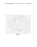 Maize Cellulose Synthases and Uses Thereof diagram and image