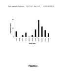 Maize Cellulose Synthases and Uses Thereof diagram and image