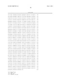 Maize Cellulose Synthases and Uses Thereof diagram and image