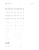 Maize Cellulose Synthases and Uses Thereof diagram and image