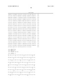 Maize Cellulose Synthases and Uses Thereof diagram and image