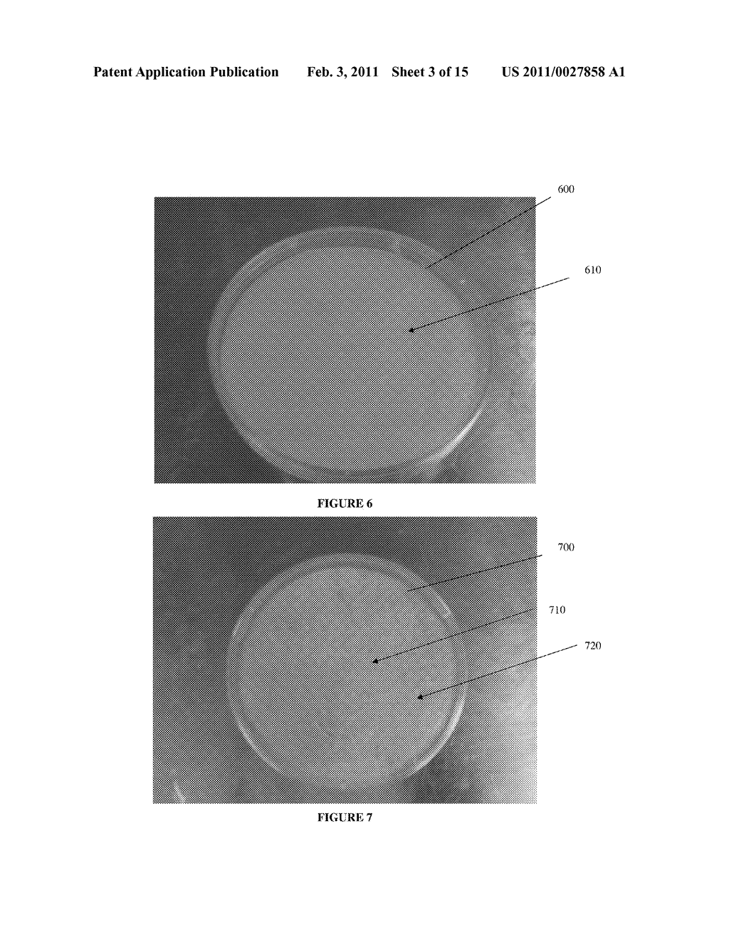 Method of Modifying Fungal Morphology - diagram, schematic, and image 04