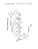 EVERNINOMICIN BIOSYNTHETIC GENES diagram and image