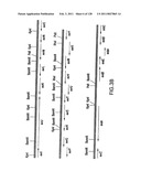 EVERNINOMICIN BIOSYNTHETIC GENES diagram and image