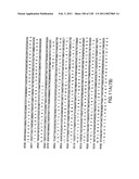 EVERNINOMICIN BIOSYNTHETIC GENES diagram and image