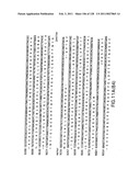 EVERNINOMICIN BIOSYNTHETIC GENES diagram and image