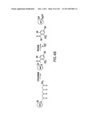 EVERNINOMICIN BIOSYNTHETIC GENES diagram and image