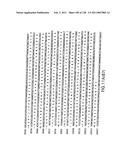 EVERNINOMICIN BIOSYNTHETIC GENES diagram and image