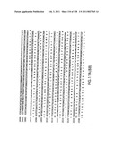 EVERNINOMICIN BIOSYNTHETIC GENES diagram and image