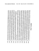 EVERNINOMICIN BIOSYNTHETIC GENES diagram and image