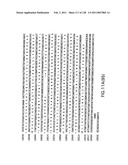 EVERNINOMICIN BIOSYNTHETIC GENES diagram and image