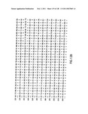 EVERNINOMICIN BIOSYNTHETIC GENES diagram and image