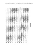 EVERNINOMICIN BIOSYNTHETIC GENES diagram and image