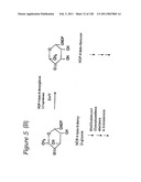 EVERNINOMICIN BIOSYNTHETIC GENES diagram and image