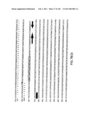 EVERNINOMICIN BIOSYNTHETIC GENES diagram and image