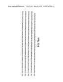 EVERNINOMICIN BIOSYNTHETIC GENES diagram and image