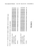 EVERNINOMICIN BIOSYNTHETIC GENES diagram and image