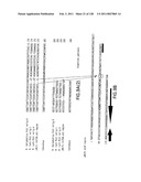 EVERNINOMICIN BIOSYNTHETIC GENES diagram and image