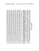 EVERNINOMICIN BIOSYNTHETIC GENES diagram and image