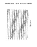 EVERNINOMICIN BIOSYNTHETIC GENES diagram and image