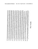 EVERNINOMICIN BIOSYNTHETIC GENES diagram and image