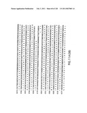 EVERNINOMICIN BIOSYNTHETIC GENES diagram and image