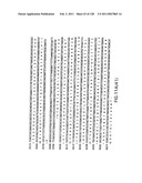 EVERNINOMICIN BIOSYNTHETIC GENES diagram and image