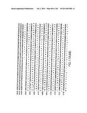 EVERNINOMICIN BIOSYNTHETIC GENES diagram and image