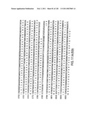 EVERNINOMICIN BIOSYNTHETIC GENES diagram and image