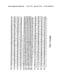 EVERNINOMICIN BIOSYNTHETIC GENES diagram and image