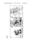 SSL7 MUTANTS AND USES THEREFOR diagram and image