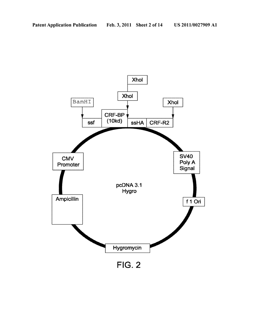 Chimera Compositions and Methods of Use - diagram, schematic, and image 03