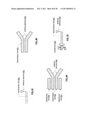 IC WITH A CONFIGURABLE ANTENNA STRUCTURE diagram and image