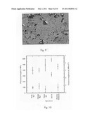 SiC BODIES AND PROCESS FOR THE FABRICATION OF SiC BODIES diagram and image